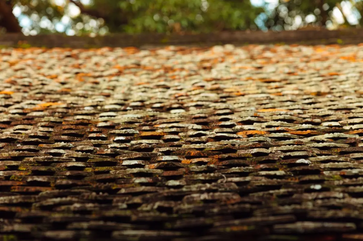 Aging shingle roof with moss growth and granule loss in Plainview, TX
